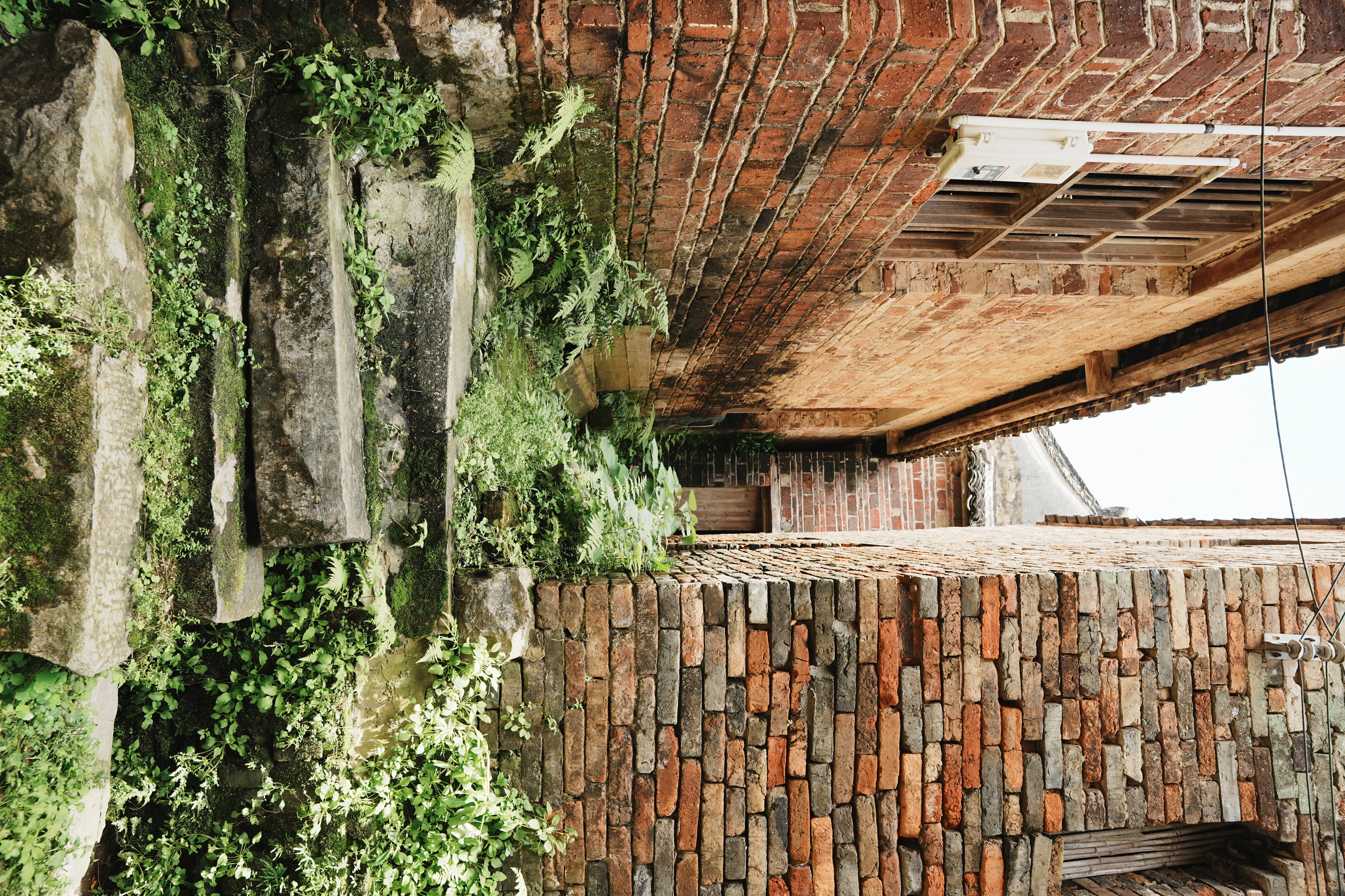 overgrown chinese brick buildings