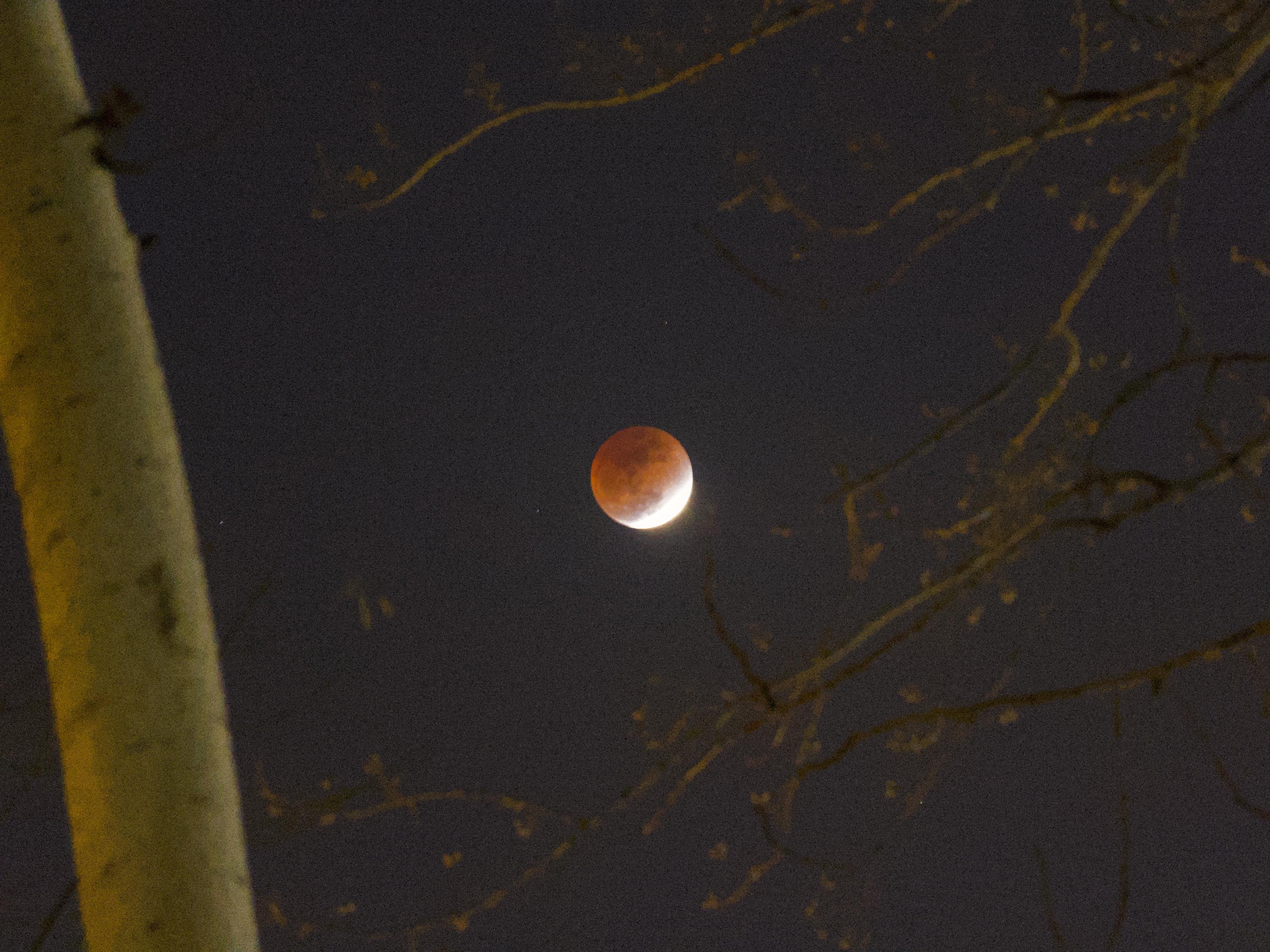 moon
