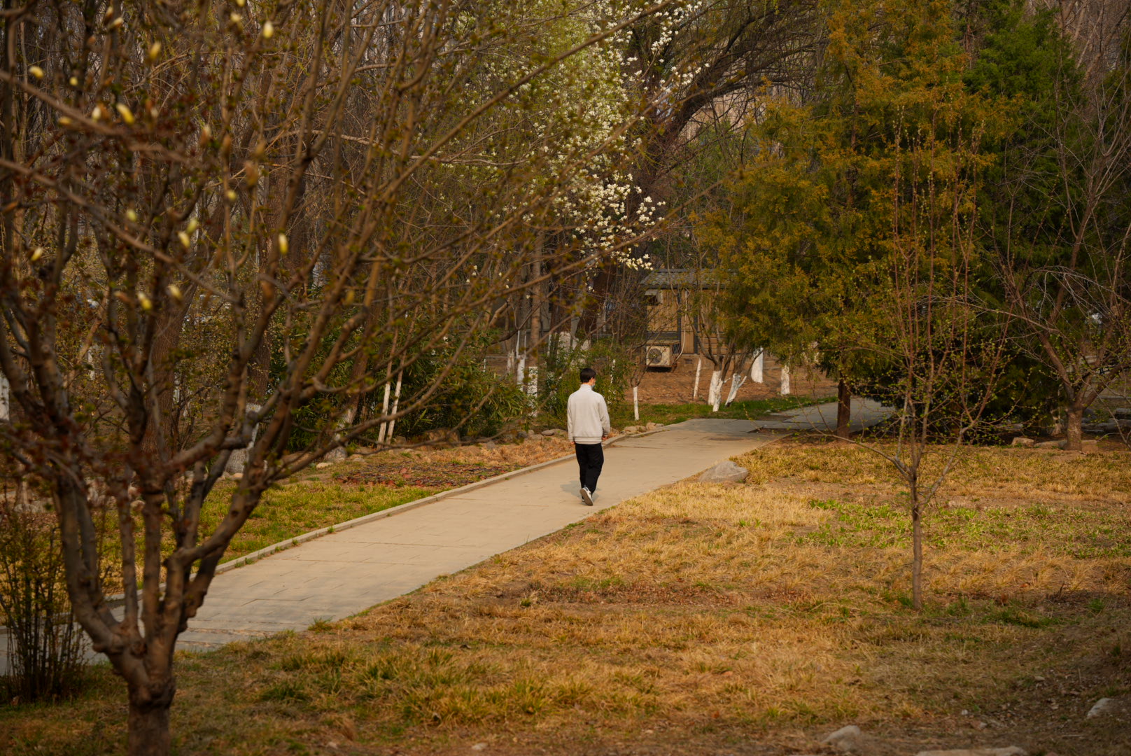 man walking on a path through a clearing