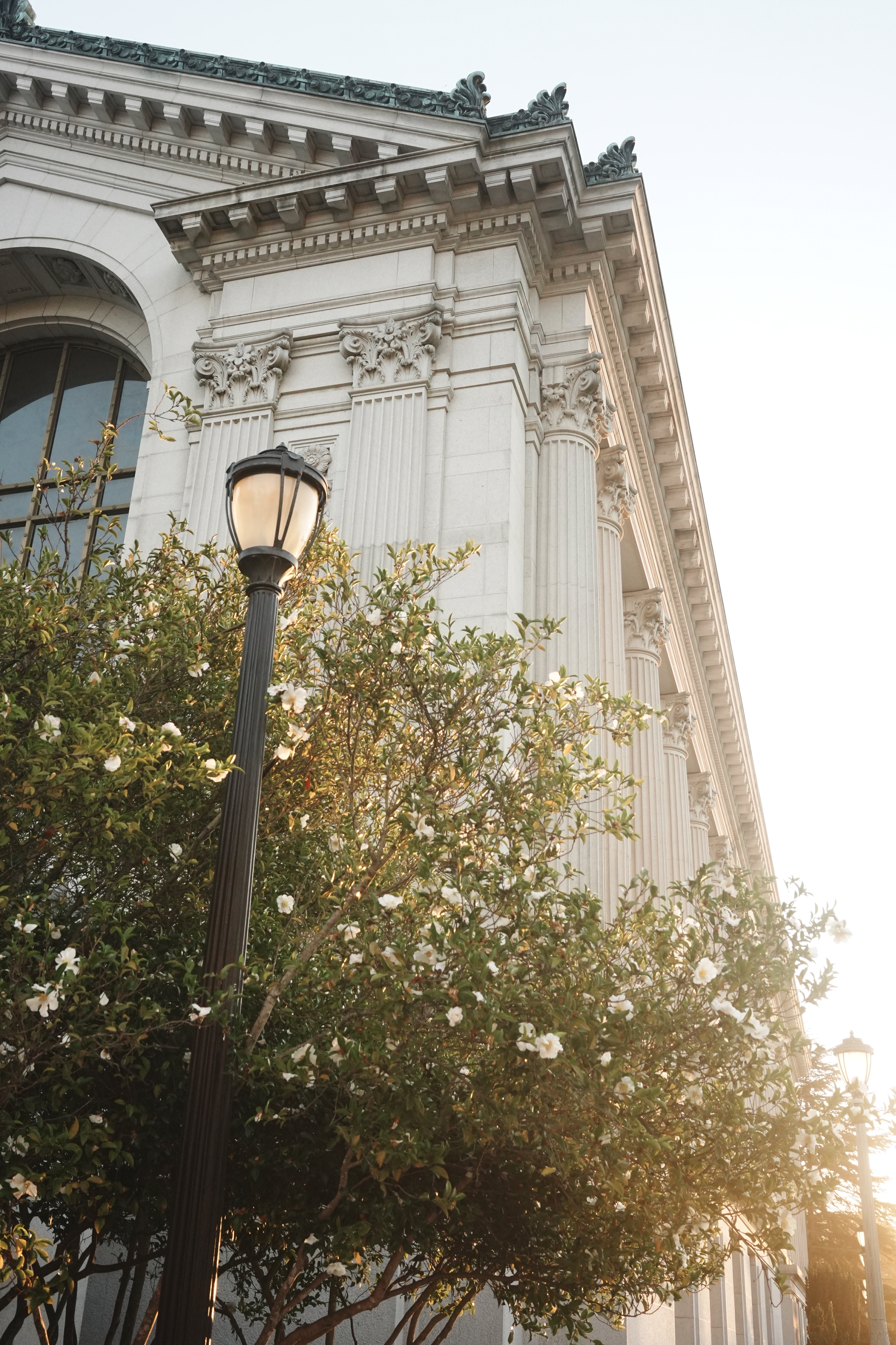 side profile of doe memorial library, uc berkeley