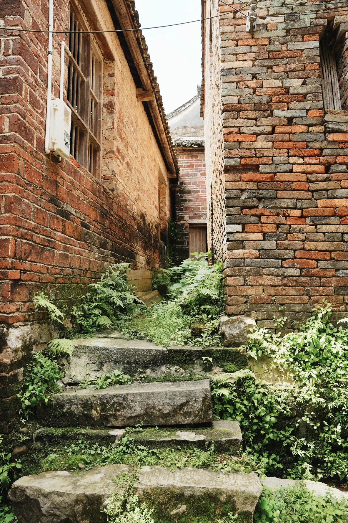 overgrown chinese brick buildings