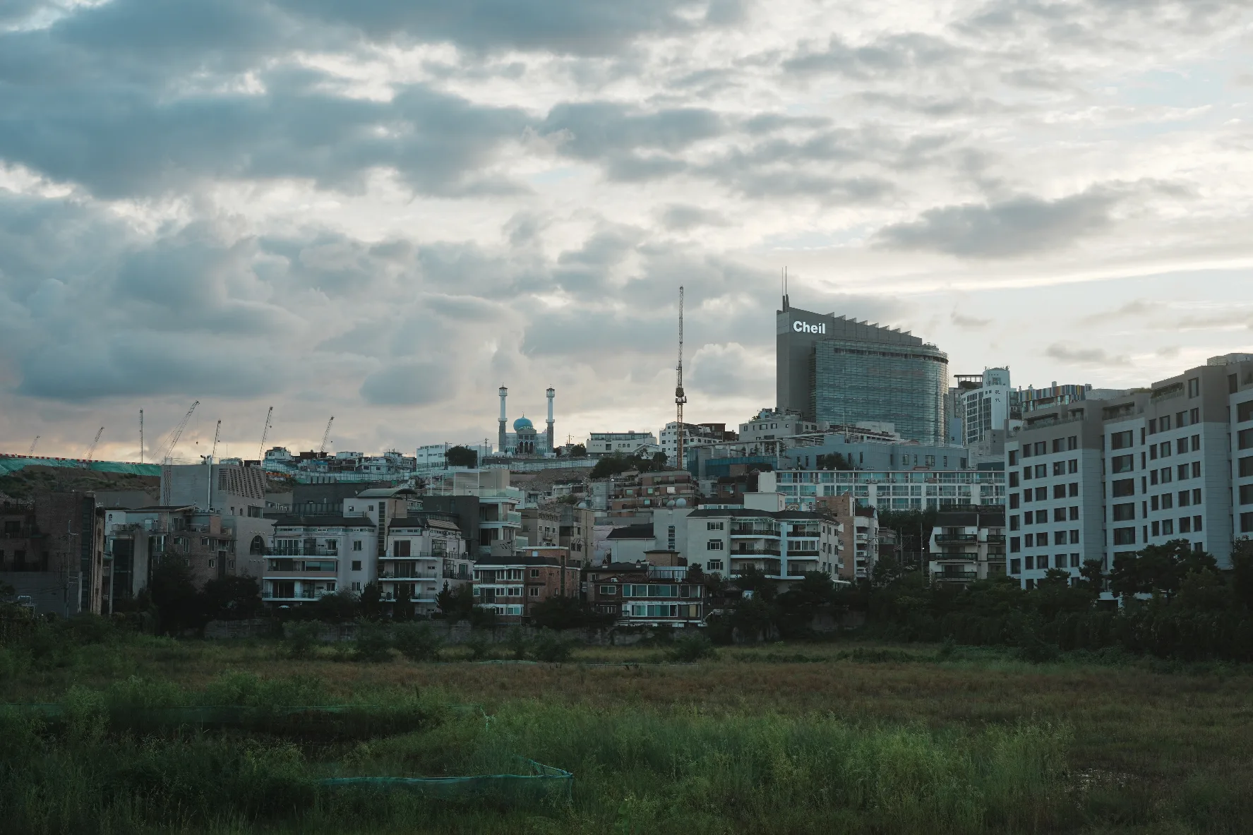 a grassy plain with buildings circling it