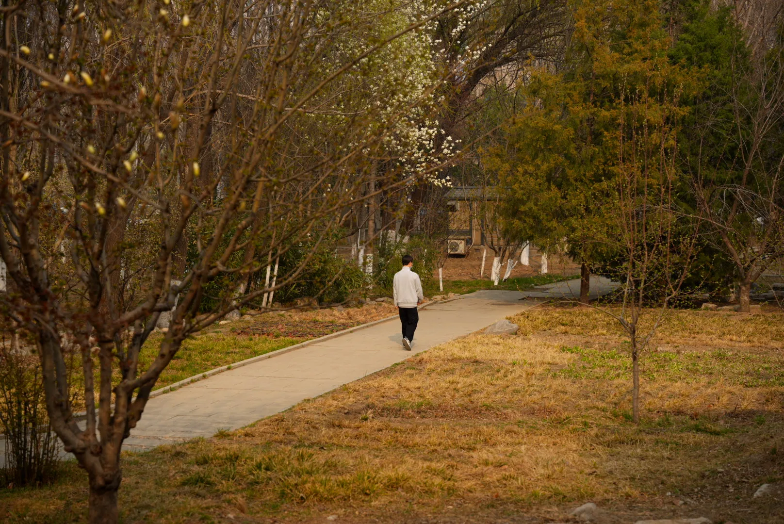 student walking through a path in grass