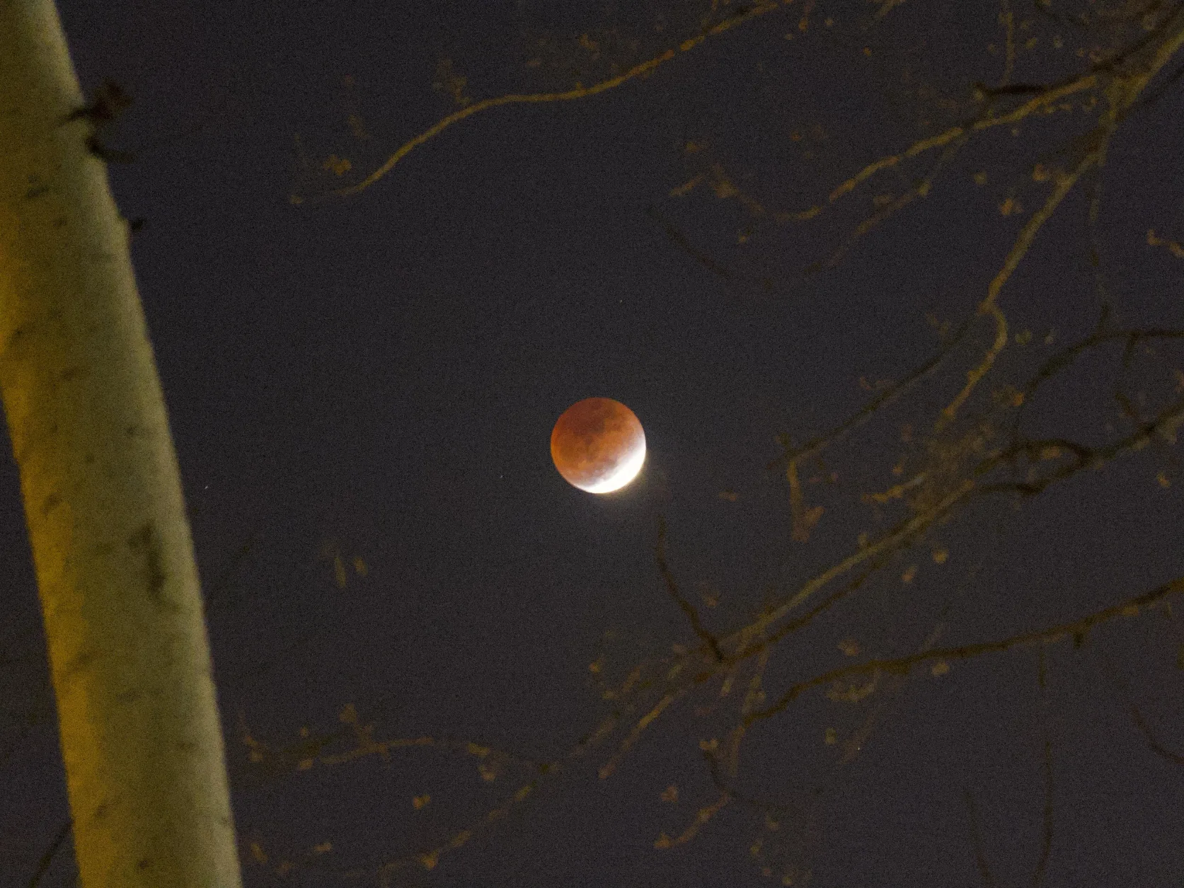 moon