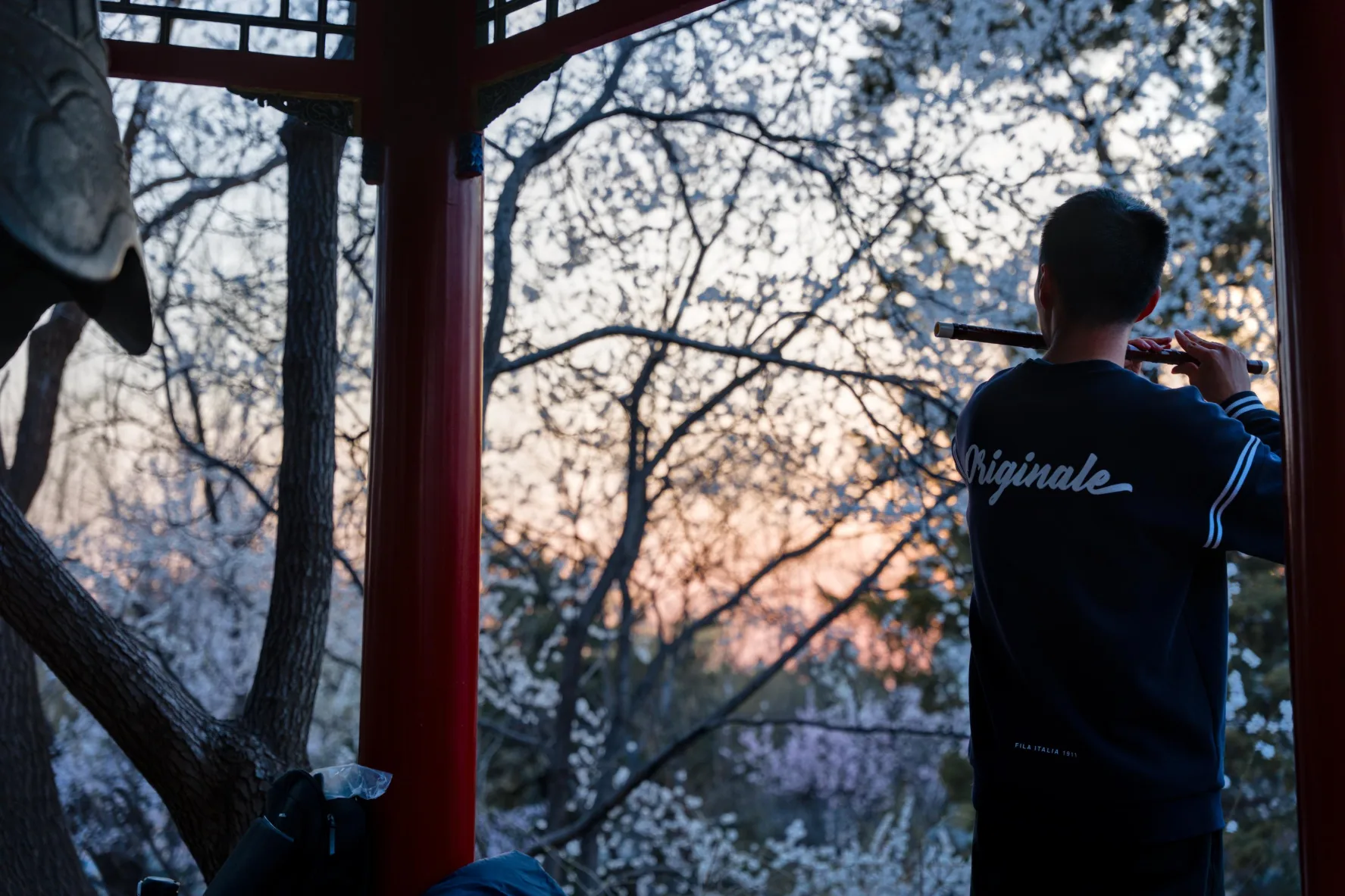 man playing a flute against a backdrop of blossoming trees