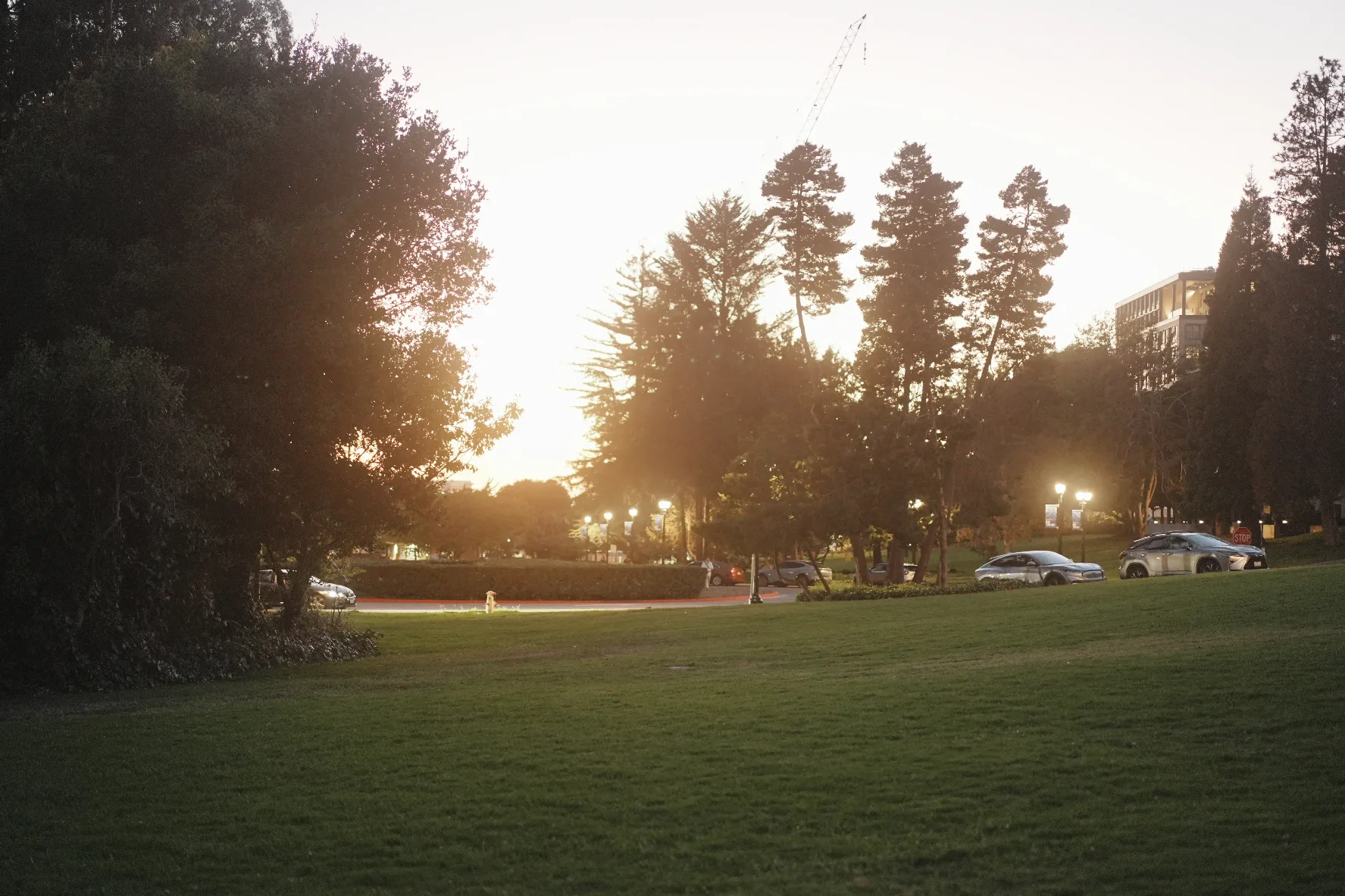 a dreamy sunset