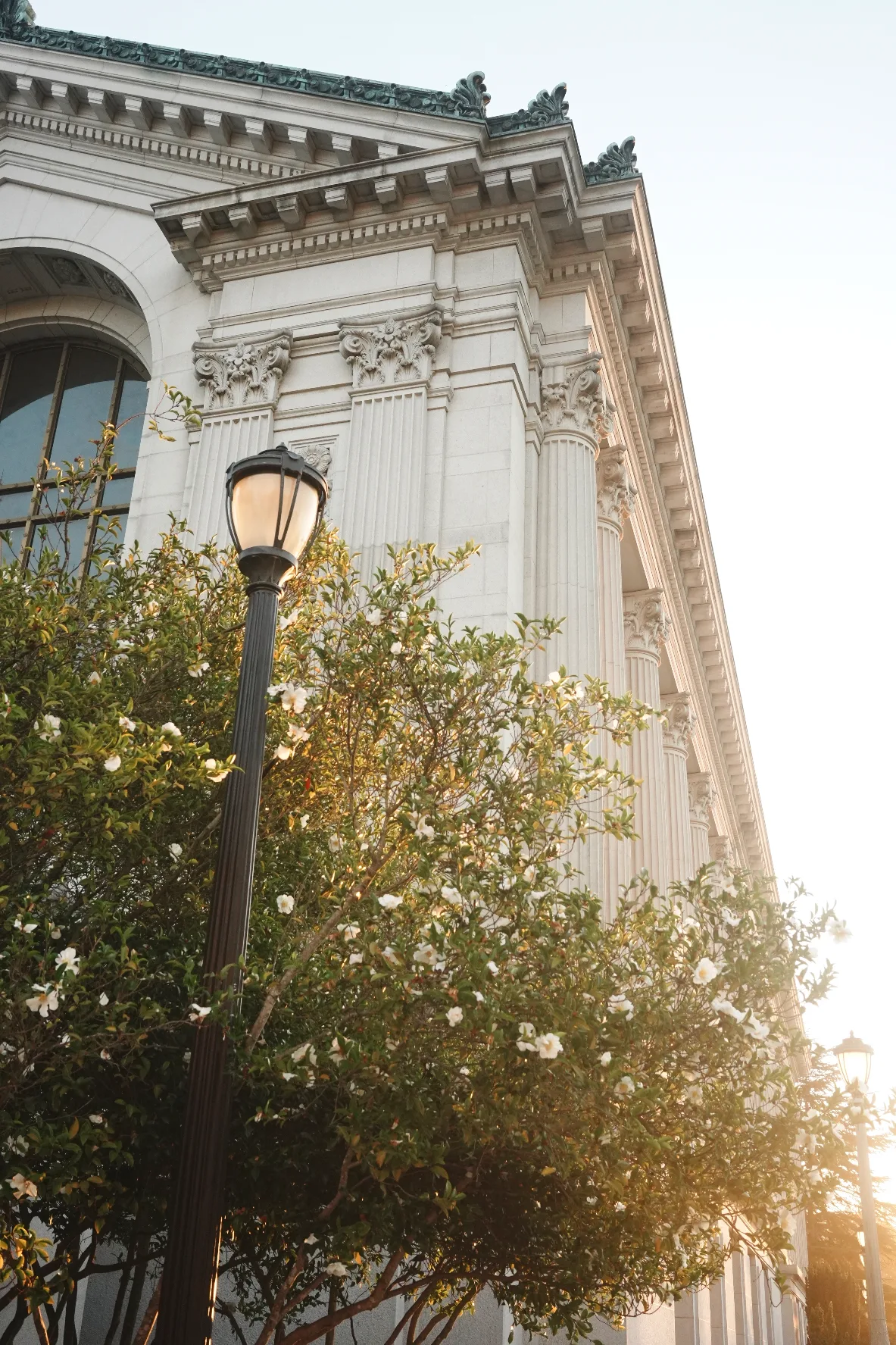 side profile of doe memorial library, uc berkeley